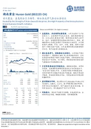 首次覆盖：直属国企实力雄厚，锑业务高景气推动业务增长