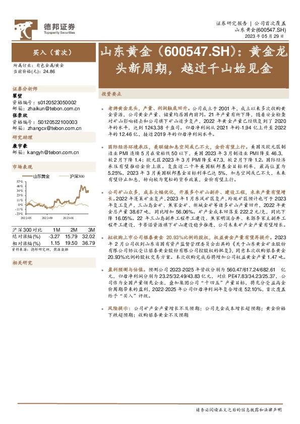 黄金龙头新周期，越过千山始见金