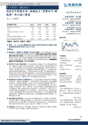 拟发行可转债点评:持续发力“消费电子+新能源”两大核心赛道