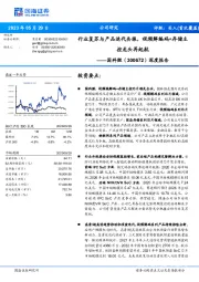 深度报告：行业复苏与产品迭代共振，视频解编码+存储主控龙头再起航