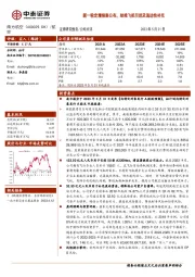 新一轮定增预案公布，助推飞机引进及流动性补充