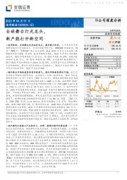 全球舞台灯光龙头,新产能打开新空间