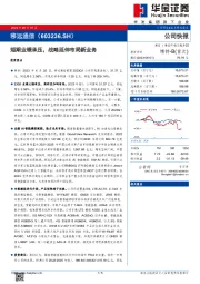 短期业绩承压，战略延伸布局新业务