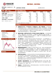 储能引领成长,积极布局钠电