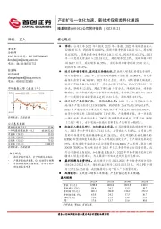 公司简评报告：产能扩张一体化加速，新技术探索差异化道路