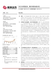 公司简评报告：多元化转型起效，新品有望加速兑现