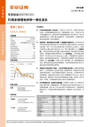 打造全球锂电材料一体化龙头