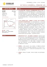 国产微焦点X射线龙头，市场前景广阔