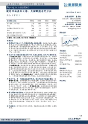 境外市场星辰大海,光储赋能未艾方兴