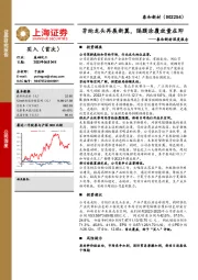 泰和新材深度报告：芳纶龙头再展新翼，隔膜涂覆放量在即