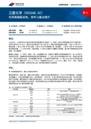布局高端新材料,竞争力稳步提升
