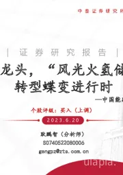 更新报告:全球能源建设龙头,“风光火氢储”多维发力、转型蝶变进行时
