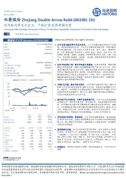 国内输送带龙头企业，产能扩张发挥规模优势