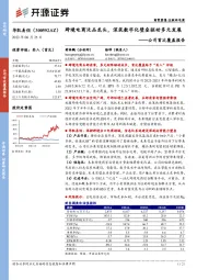 公司首次覆盖报告：跨境电商泛品龙头，深筑数字化壁垒驱动多元发展