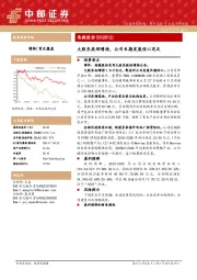 大股东底部增持,公司长期发展信心充足