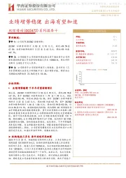 系列报告十:业绩增势稳健 出海有望加速