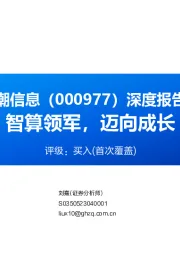 深度报告:智算领军,迈向成长