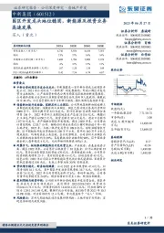 园区开发龙头地位稳固，新能源及投资业务高速发展