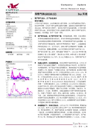 国产特气龙头，扩产加速成长