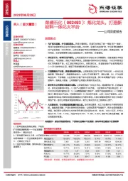 公司深度报告：炼化龙头，打造新材料一体化大平台