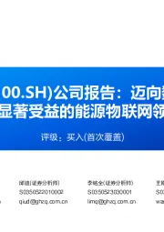 公司报告:迈向数字化、智能化时代,显著受益的能源物联网领军企业