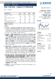 两轮+四轮齐驱，把握海内外消费新趋势