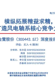 深度报告:横纵拓展精益求精,打造风电轴系核心竞争力
