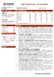 山推股份：国内推土机行业龙头，大马力产品出口盈利改善