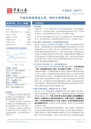 中报利润端增速凸显,国际化持续推进