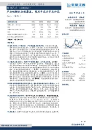 产业链横纵全面覆盖，商用车龙头多点开花