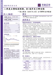 公司事件点评报告：二季度业绩略超预期，BC端齐发力释动能