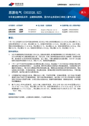 半年度业绩快报点评:业绩表现亮眼,国内外业务迎来订单收入景气共振