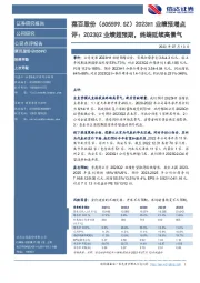 2023H1业绩预增点评:2023Q2业绩超预期,终端延续高景气