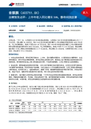 业绩预告点评：上半年收入同比增长36%，静待利润改善