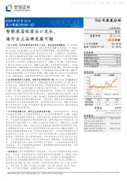 智能家居优质出口龙头,海外自主品牌发展可期