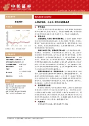 业绩超预期，电动化+国际化持续推进