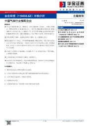 申购分析：中国气体行业领军企业