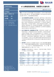 Q2业绩超预期高增，持续深化光储布局