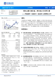 2023H1业绩预告点评：煤电业绩大幅改善，新加坡公司利润大增