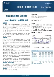 比亚迪23H1中报预告点评:23Q2业绩超预期,未来可期