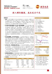 收入增长靓丽，龙头定力十足