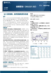 Q2业绩亮眼，股权激励助成长加速