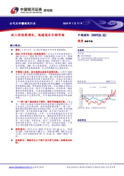 收入实现高增长，低碳技术引领市场