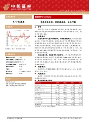 多线布局车规、新能源领域，成长可期