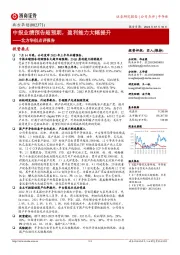 北方华创点评报告：中报业绩预告超预期，盈利能力大幅提升