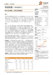 海外业务高增，全球化进程提速