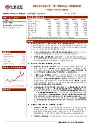 深度报告：国际冶金工程承包商，“碳”索绿色冶金、宝武协同发展