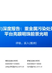 深度报告:重金属污染处理技术领先,紫金系平台亮眼明珠前景光明