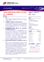 固相合成载体等新兴领域产品快速放量,业绩超预期