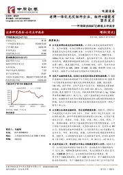 新股点评报告：老牌一体化光伏组件企业，组件+储能有望齐发力